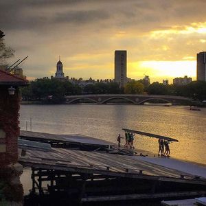 Image post by @harvard on Instagram