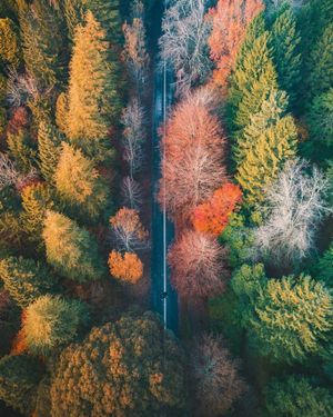 Image post by @dronepals on Instagram