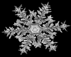Image post by @ScienceChannel on Twitter/X