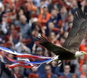Image post by @auburnalumni on Instagram