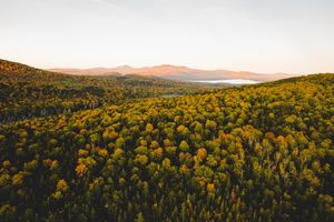 Image post by @themainemag on Instagram