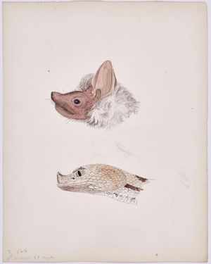 Image post by @drawingcenter on Instagram