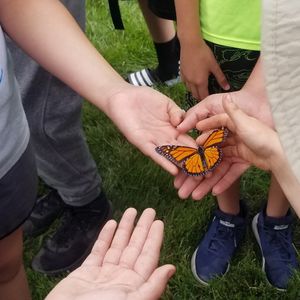 Image post by @kidsgardening on Instagram