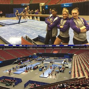 Image post by @uwgymnastics on Instagram