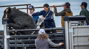 Image post by @dalebrisby on Instagram