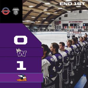 Image post by @waldorfuniversityhockey on Instagram