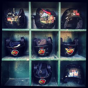 Image post by @rocredwings on Instagram
