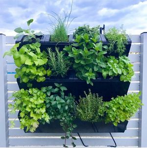 Image post by @bonnieplants on Instagram