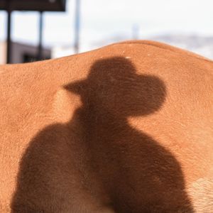 Image post by @justinboots_ on Instagram
