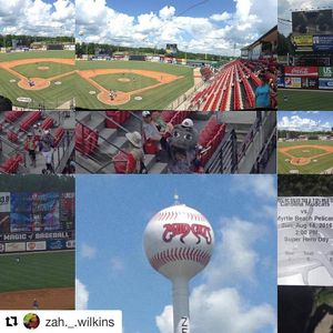 Image post by @carolinamudcats on Instagram