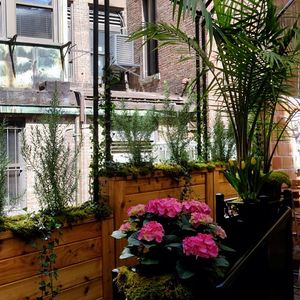 Image post by @lepainquotidienus on Instagram