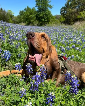 Image post by @kens5 on Instagram