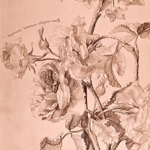 Image post by @drawingcenter on Instagram