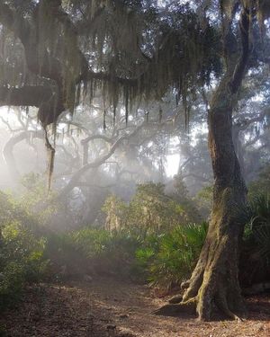 Image post by @nationalparkservice on Instagram