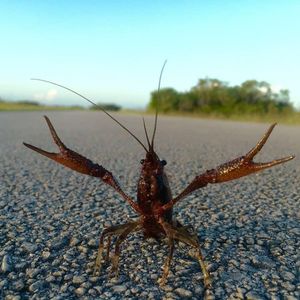Image post by @nationalparkservice on Instagram