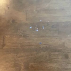 Video post by @micaopenstudies on Instagram