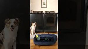 Video post by @samsungus on YouTube