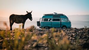 Image post by @kombilifeadventures on Instagram