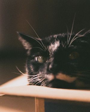 Image post by @eecreative7 on Instagram