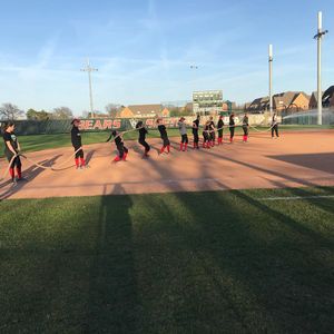 Image post by @washusoftball on Instagram