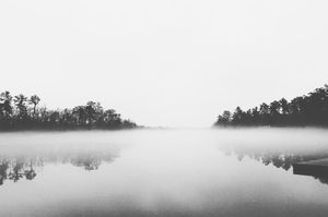 Image post by @themikeledford on Instagram