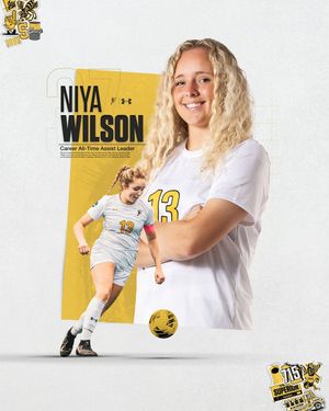 Image post by @uwswsoc on Instagram