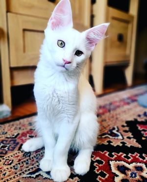 Image post by @hollysmee on Instagram