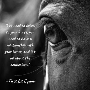 Image post by @first_bit_equine_ on Instagram