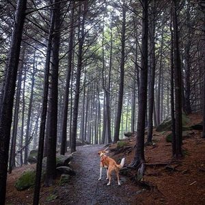 Image post by @JustinPotterPhotography on Facebook