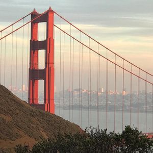 Image post by @onlyinsf on Instagram