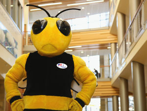 Image post by @uw_superior on Instagram
