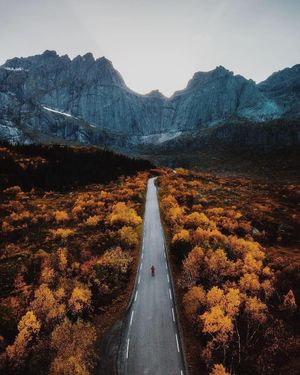 Image post by @instagram on Instagram