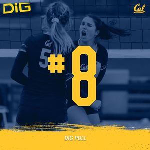 Image post by @calbeachvb on Instagram