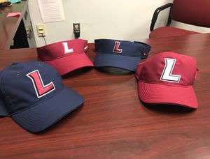 Image post by @leeusoftball on Instagram
