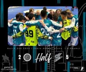 Image post by @stlouisambush on Instagram