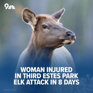 Image post by @9newsdenver on Instagram