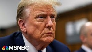 Video post by @msnbc on YouTube