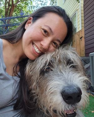 Image post by @thesavannahwolfhound on Instagram