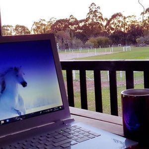 Image post by @equine_entrepreneurs_ on Instagram