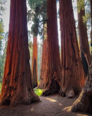 Image post by @nationalparkspartnership on Instagram