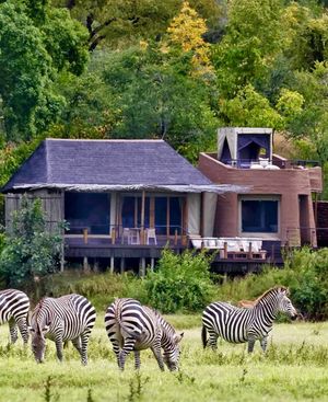Image post by @chiawasafaris on Instagram