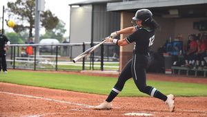 Image post by @meangreensb on Instagram