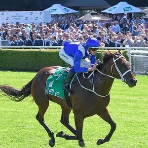 Image post by @australianturfclub on Instagram