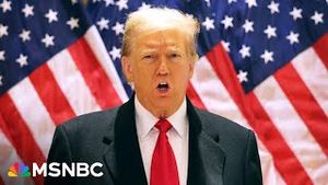 Video post by @msnbc on YouTube