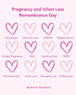Image post by @pinkstork on Instagram