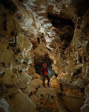 Image post by @nationalparkservice on Instagram