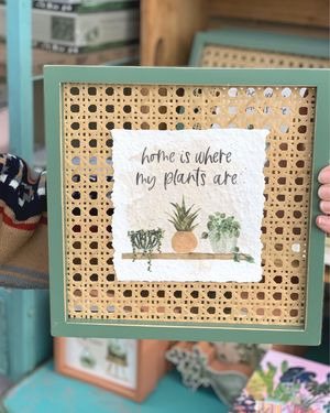 Image post by @shopbachmans on Instagram