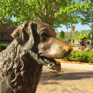 Image post by @umbclife on Instagram