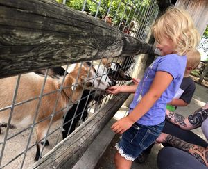 Image post by @visitoverlandpark on Instagram