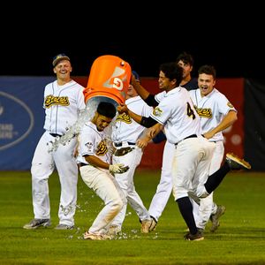 Image post by @burlington_bees on Instagram